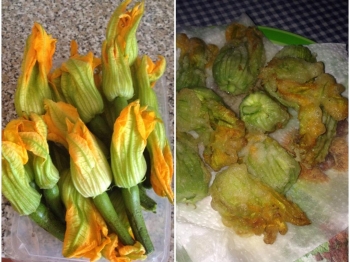 Fiori di zucca fritti